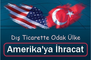 Amerika'ya İhracat Danışmanlığı