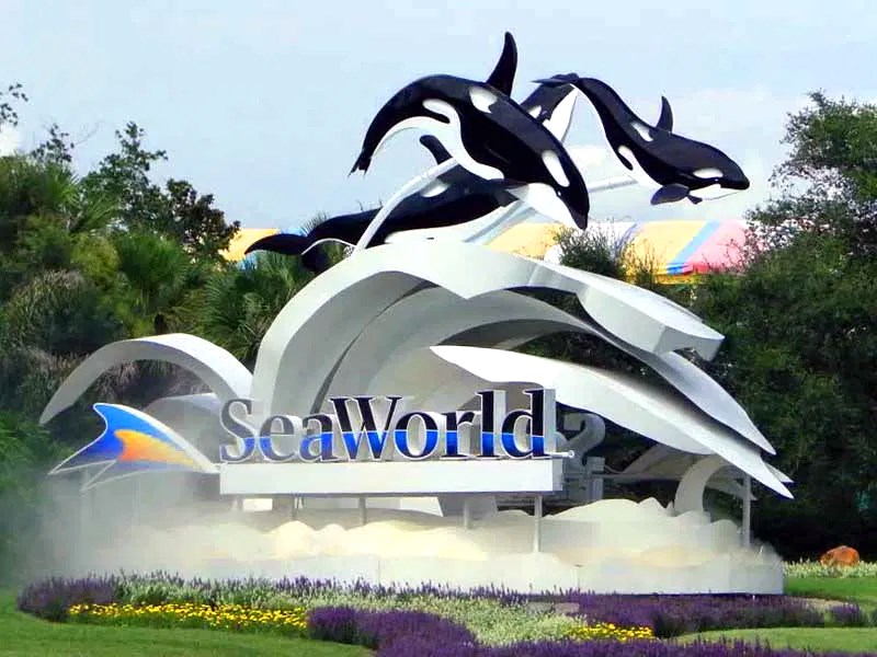 Amerika Danışmanı | Sea World Gezisi