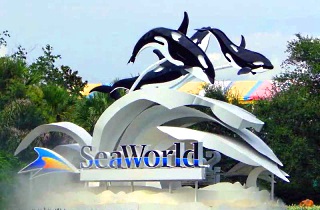 SeaWorld Gezisi