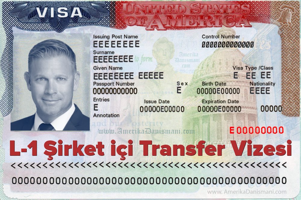 Şirket içi Transfer Vizesi Danışmanlık