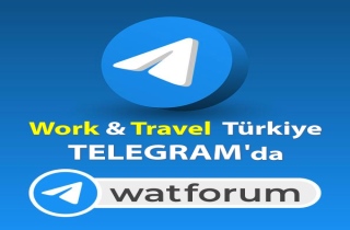 Work and Travel telegram grubu